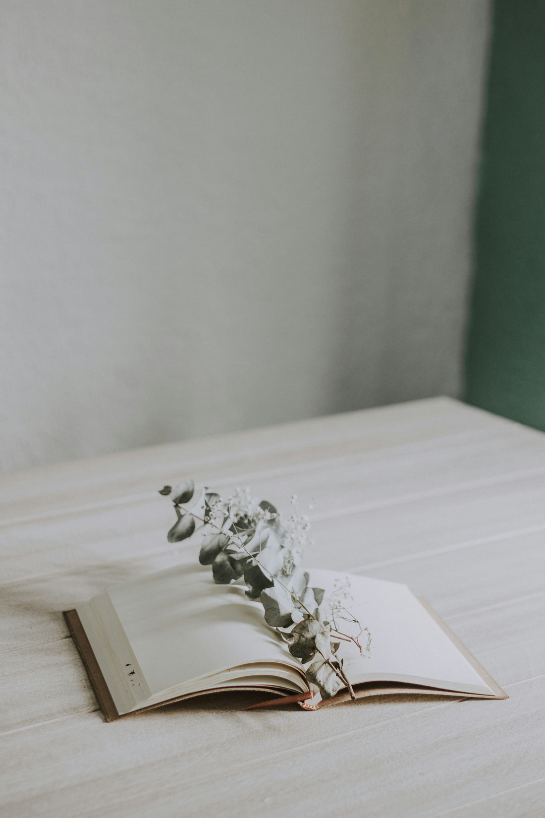 Wedding Planning Overwhelm: 5 Tips to Feel Calm Again!