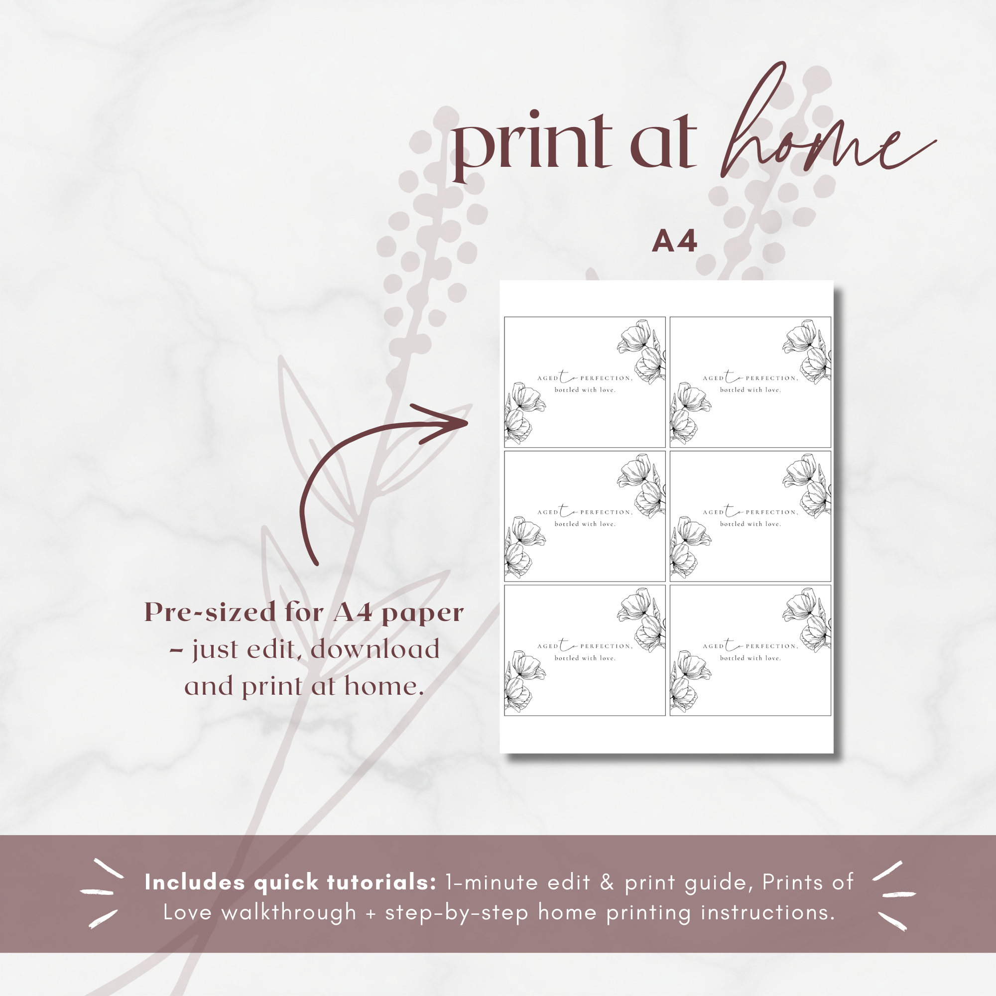 Alba Serenity Wine Label Template
