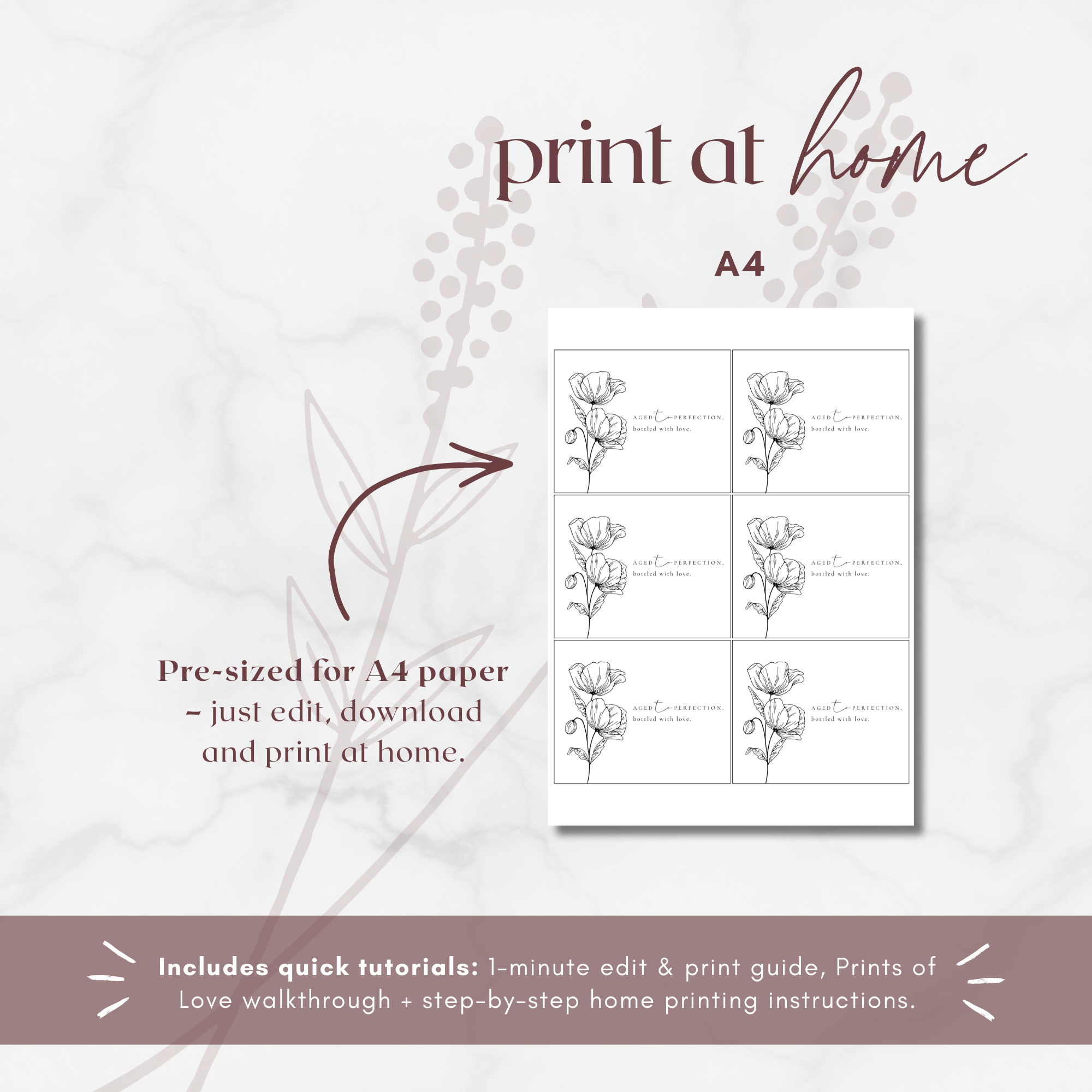 Alba Serenity Wine Label Template